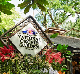 National Orchid Garden