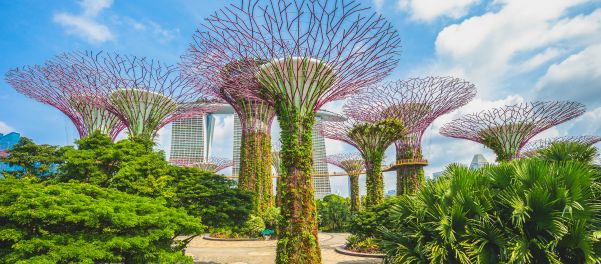 Gardens by the Bay