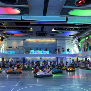 Bumper Cars