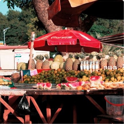 Local Taste & Shopping Tour