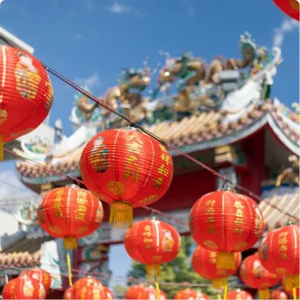 Easy Transfer: Chinatown & Merlion Park