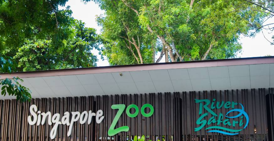 Singapore Zoo