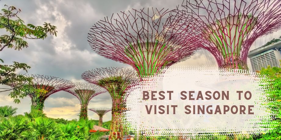 Singapore's Lion City: The Best Time to Visit for Indians