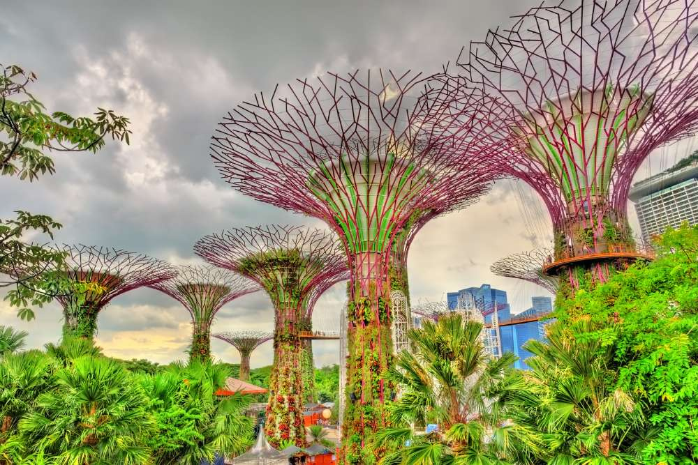 Sparkling Singapore