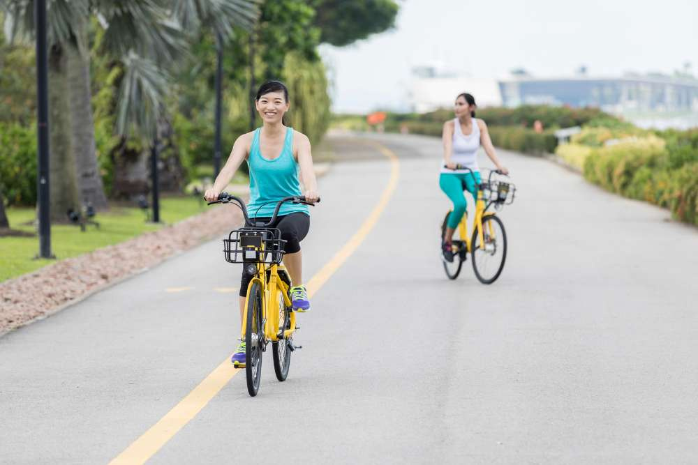 Singapore - A Fun Family Special